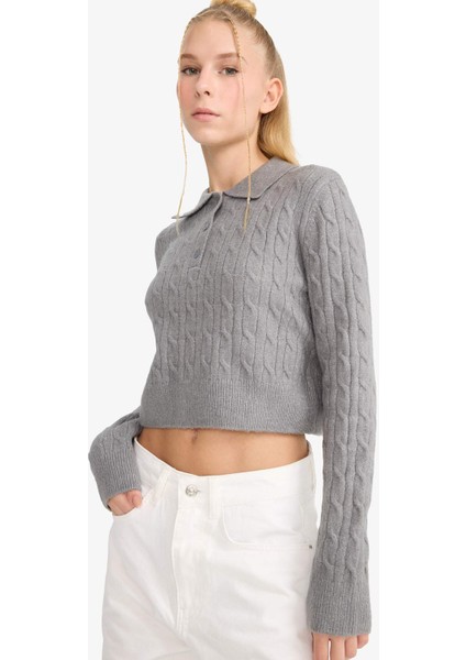 Coool Slim Fit Dar Kesim Polo Yaka KAZAK F1745AX25WN modelleri