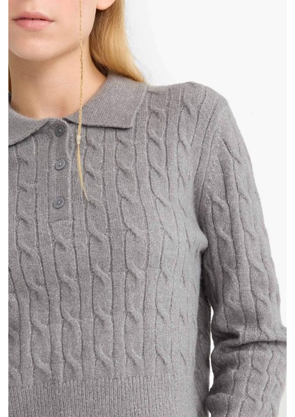 Coool Slim Fit Dar Kesim Polo Yaka KAZAK F1745AX25WN indirimleri