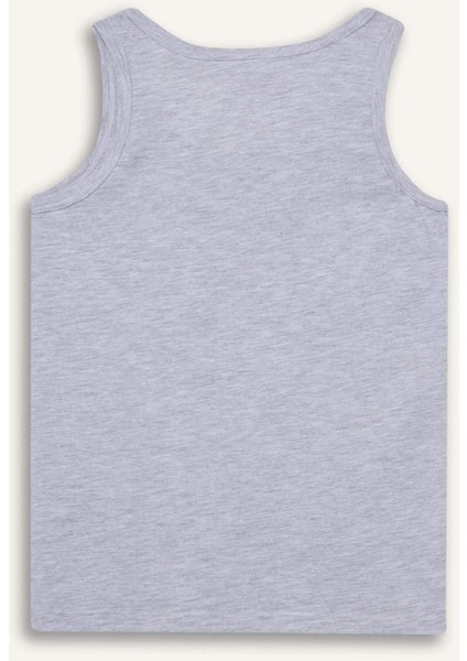 Erkek Çocuk Batman 2'li Atlet C8798A825AU modelleri