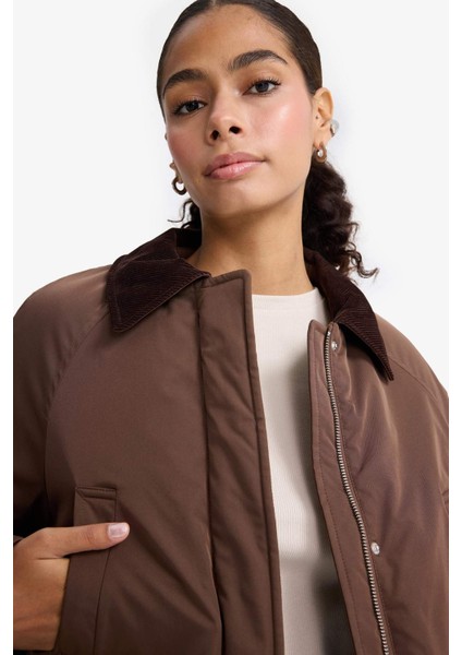 Regular Fit Kontrast Yaka Fermuarlı PARKA F3558AX25WN modelleri