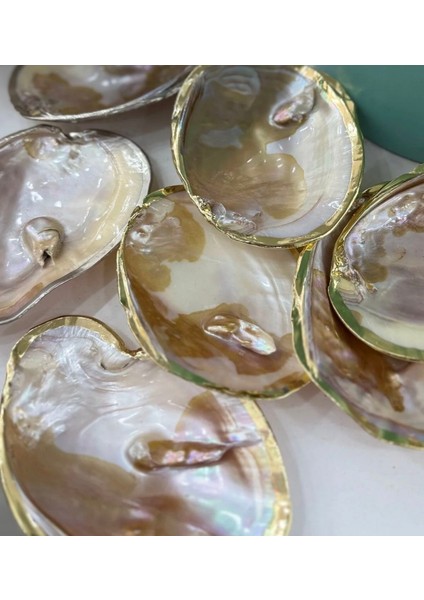 Istiridye Tabağı Kenarları Gold Kaplamalı Kabuk fiyatları