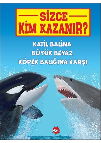 Sizce Kim Kazanır? Katil Balina Büyük Beyaz Köpek Balığına Karşı