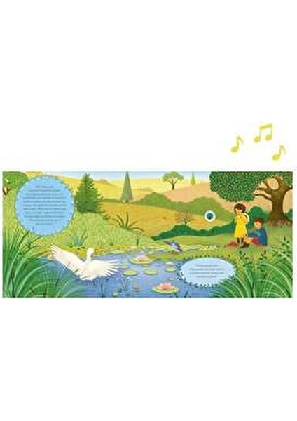 The Story Orchestra Peter and The Wolf - Jessica Courtney Tickle 10 Sayfa Ciltsiz Kitap