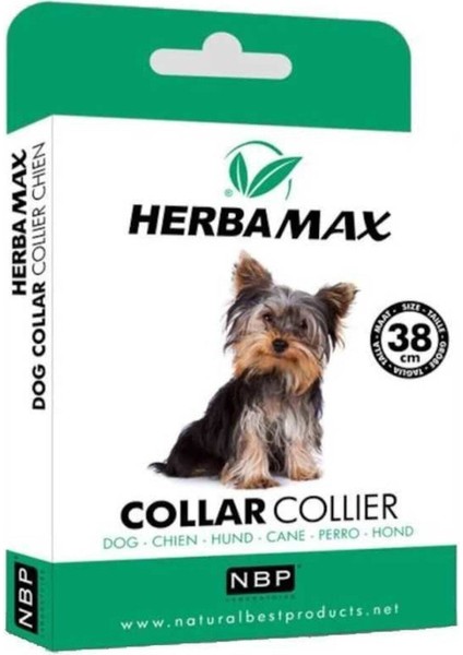 Pire Dış Parazit Tasması 38 cm