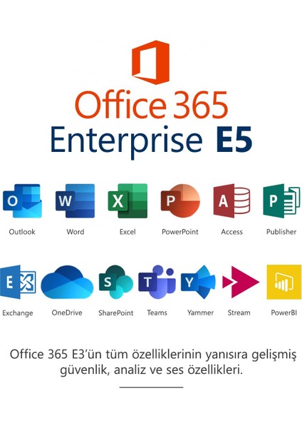 Office 2019 Fpp Kurumsal Pro Plus Tüm Dillerde Süresiz Dijital Lisans fiyatları