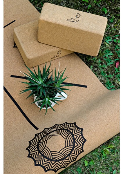 Nature Serisi Mantar Yoga Bloku Ergonomik Destek ve Doğa ile Uyumlu Tasarım