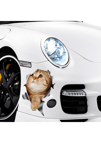 3D Kedi Araba Çıkartmaları / Pencere, Kamyon ve Araba Için Çıkartma (Yurt Dışından) modelleri