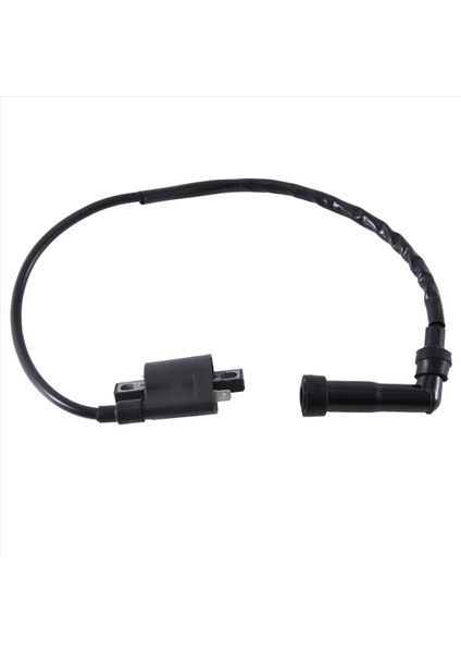 Yamaha YFM350X/660R Için Yüksek Voltajlı Ateşleme Bobini Otomatik Malzemeleri (Yurt Dışından) fiyatları