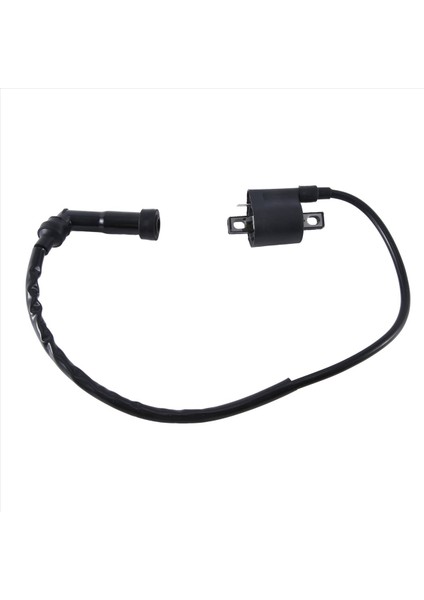 Yamaha YFM350X/660R Için Yüksek Voltajlı Ateşleme Bobini Otomatik Malzemeleri (Yurt Dışından) modelleri