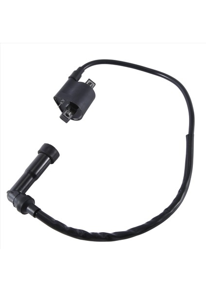 Yamaha YFM350X/660R Için Yüksek Voltajlı Ateşleme Bobini Otomatik Malzemeleri (Yurt Dışından) fırsatları