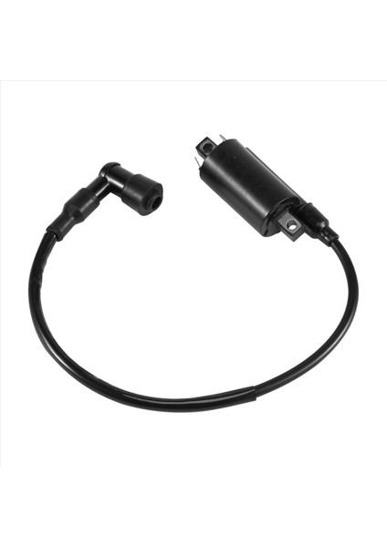 Yamaha GS125 VX250 Virago XV1100 95-07 Için Motosiklet Ateşleme Bobinleri (Yurt Dışından)