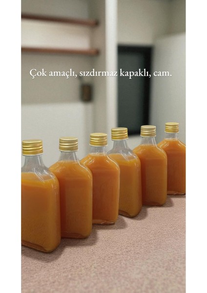 Home 6’lı Sızdırmaz Gold Metal Kapaklı Cold Brew Kahve Detoks Yassı Cam Şişe 200 ml fiyatları