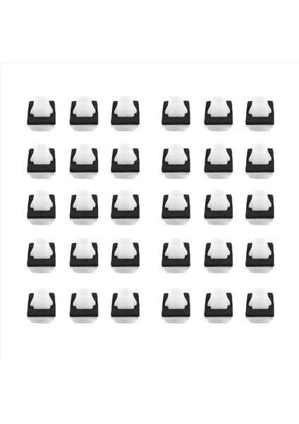 100 Adet Sünger Pedli Alt Dış Kapı Fitili Klipsi (Yurt Dışından)