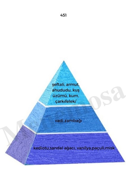 No:451 + 123 Unisex / Kadın Parfüm Edp Fresh / Floral - MNMS451123 modelleri