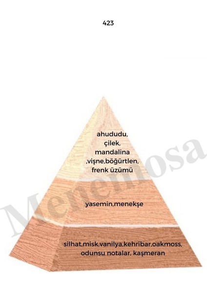 423 + 423 Kadın Parfüm Edp Floral - MNMS4232 fiyatları