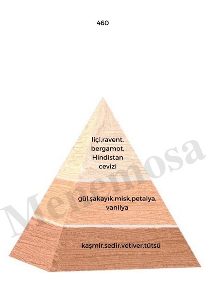 460 + 460 Kadın Parfüm Edp Floral - MNMS4602 fiyatları