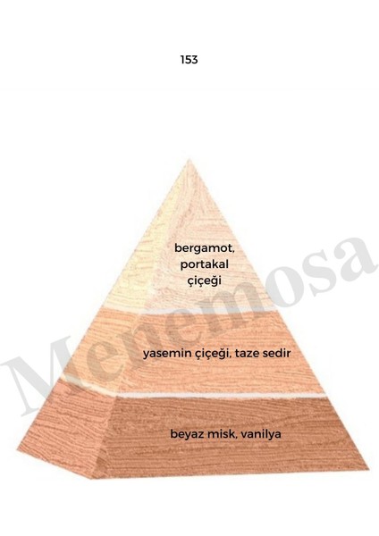 153 + 153 Kadın Parfüm Edp Floral - MNMS1532 fiyatları