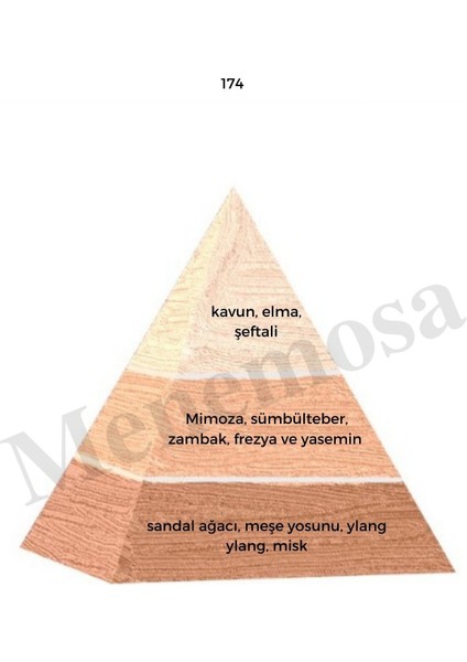 174 + 174 Kadın Parfüm Edp Floral - MNMS1742 fiyatları