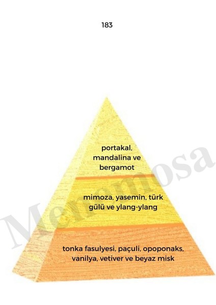 183 + 183 Kadın Parfüm Edp Oriental - MNMS1832 fiyatları