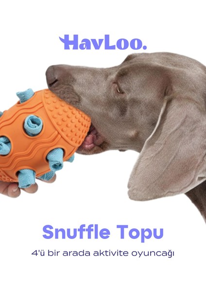 Köpek Snuffle Topu | Mama Saklama ve Çiğneme Oyuncağı