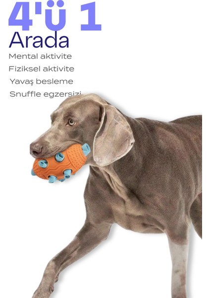Köpek Snuffle Topu | Mama Saklama ve Çiğneme Oyuncağı fiyatları
