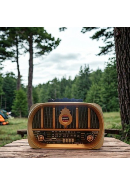 Orta Boy Retro, Nostaljik, Ahşap Tasarım Bluetooth Hoparlörlü, Şarjlı, Taşınabilir Oval Ön Yüzlü Fm/am Destekli Radyo NS6687 modelleri