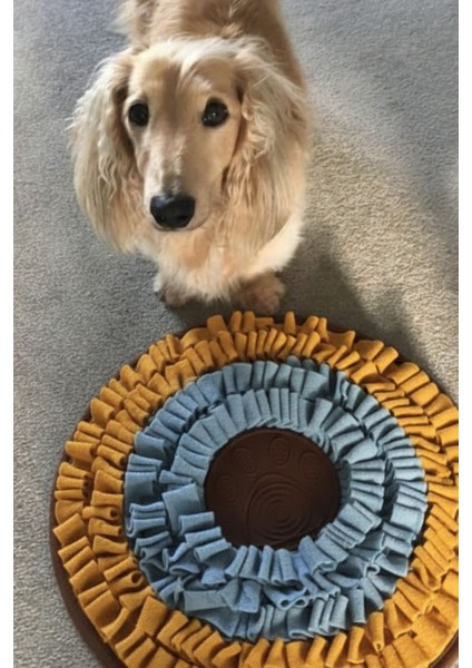 Vantuzlu Snuffle Mat | Snuffle ve Yalama Egzersizi Bir Arada! fırsatları