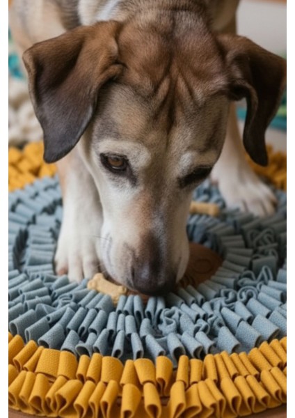 Vantuzlu Snuffle Mat | Snuffle ve Yalama Egzersizi Bir Arada! indirimleri