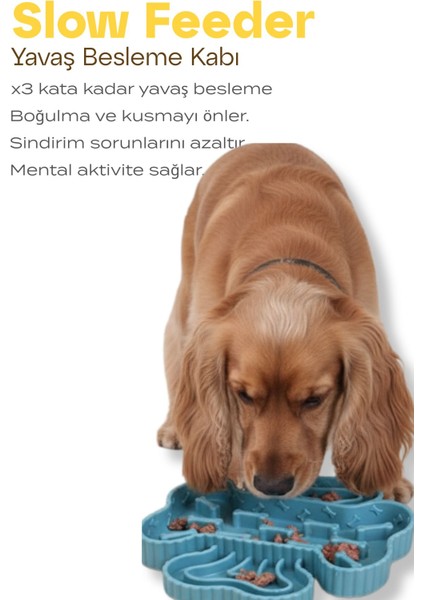 Slow Feeder | Köpekler Için Yavaş Besleme Mama Kabı fiyatları