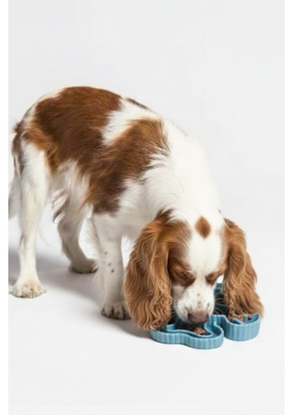 Slow Feeder | Köpekler Için Yavaş Besleme Mama Kabı