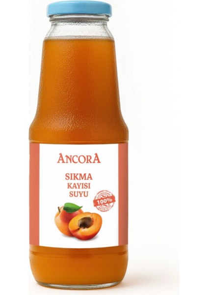 Sıkma Kayısı Suyu 1 Lt