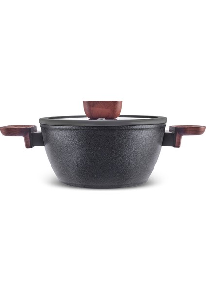 Salomon Biodiamond Tencere 24 cm fiyatları