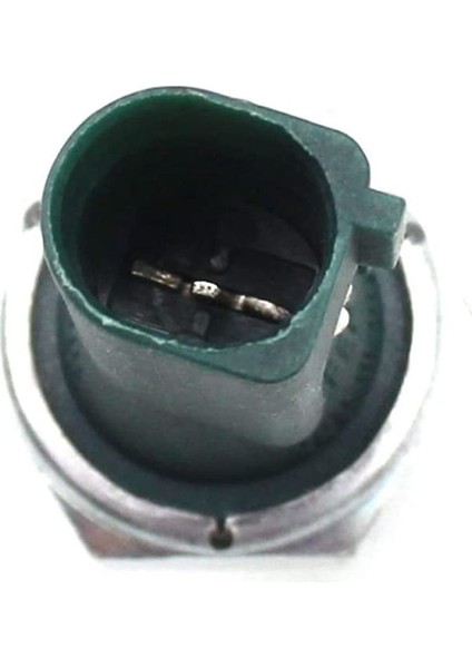 Audi A4 Q3 A3 Beetle Polo Golf Tiguan Için 10 Adet Yağ Basınç Sensörü (Yurt Dışından) fırsatları