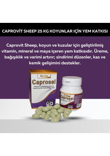 Caprosel 50 Kapsül Yüksek Oranda Vitamin E, Selenyum, Kobalt