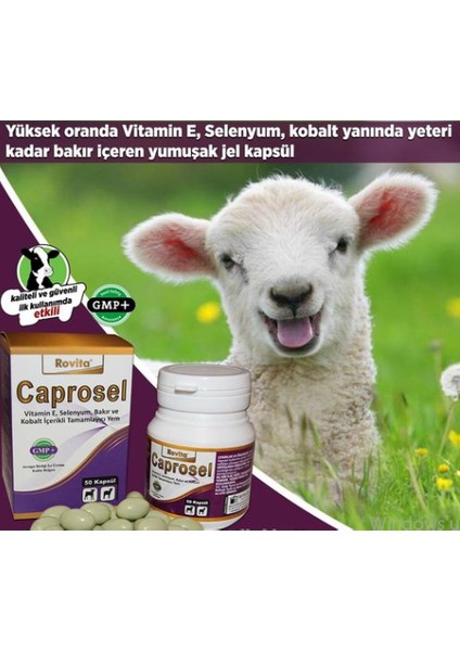Caprosel 50 Kapsül Yüksek Oranda Vitamin E, Selenyum, Kobalt modelleri