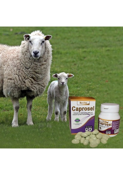Caprosel 50 Kapsül Yüksek Oranda Vitamin E, Selenyum, Kobalt indirimleri