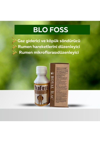Blofoss Şurup 100ML