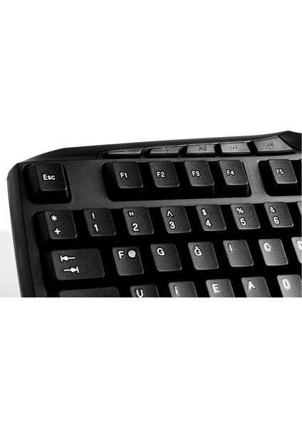 Everest KB-250U Siyah F USB Kablolu Multimedya 113 Tuşlu Klavye fiyatları