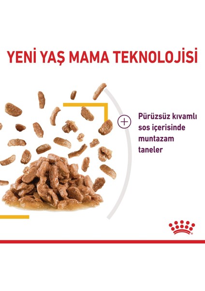 Sensory Tat Duyusu için Sos İçerisinde Yaş Kedi Maması 12 x 85g