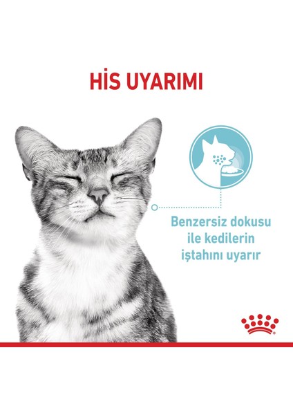 Sensory Duyusal His için Sos İçerisinde Yaş Kedi Maması 12 x 85g