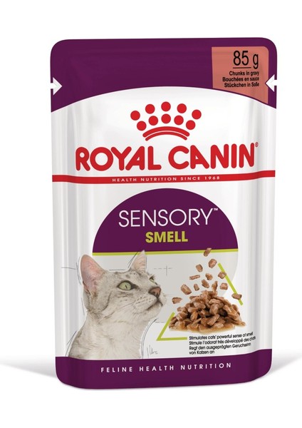 Sensory Koku Duyusu için Sos İçerisinde Yaş Kedi Mama