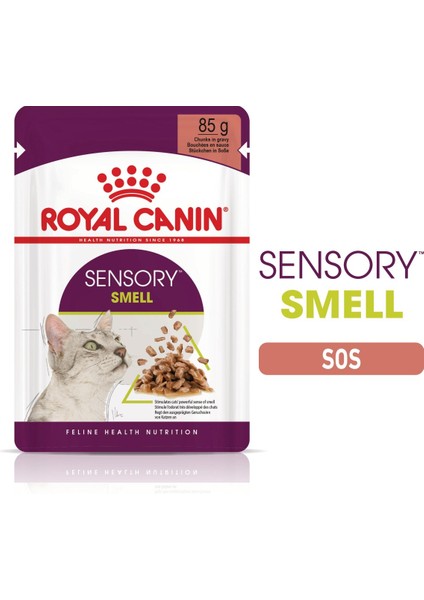 Sensory Koku Duyusu için Sos İçerisinde Yaş Kedi Mama