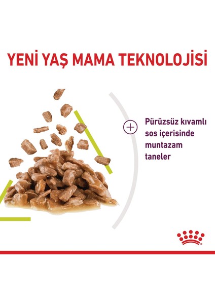 Sensory Koku Duyusu için Sos İçerisinde Yaş Kedi Mama