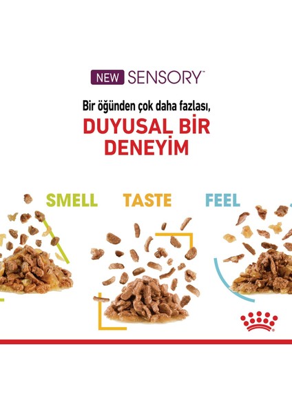 Sensory Koku Duyusu için Sos İçerisinde Yaş Kedi Mama