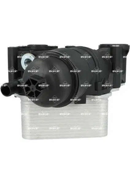 310251 Yag Filtre Govdesi 152081926R 152085948R 2130500QAE