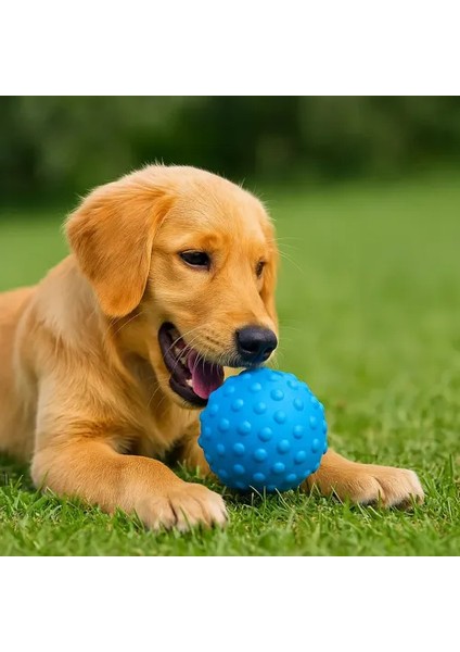 Litae Trend Petzoom Mavi Dikenli Köpek Oyun Topu fırsatları