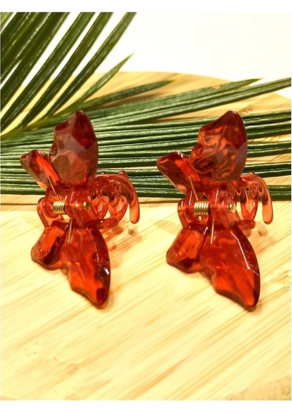 2 Li 4.5 cm Renkli Lüks Kelebek Toka