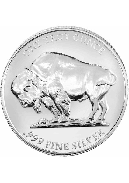 Amerikan Buffalo 2025 Gümüş Sikke Coin