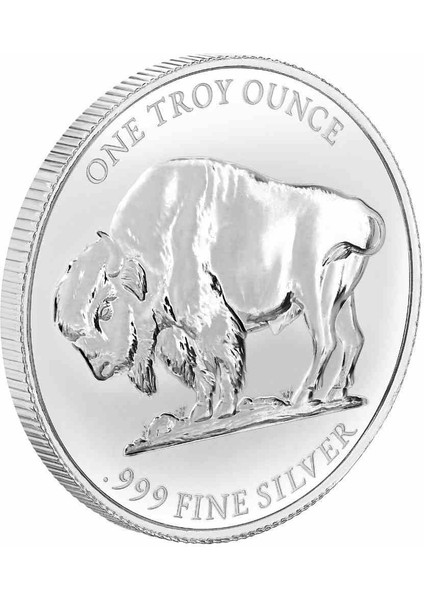 Amerikan Buffalo 2025 Gümüş Sikke Coin modelleri