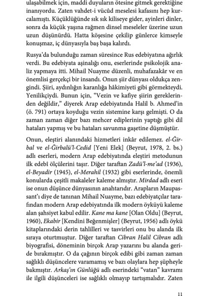Kendini Arayan Adam Arkaş’ın Günlüğü - Mihail Nuayme